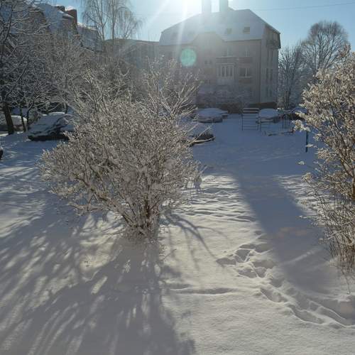 Photo #12927148