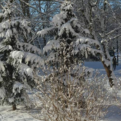 Photo #12927150