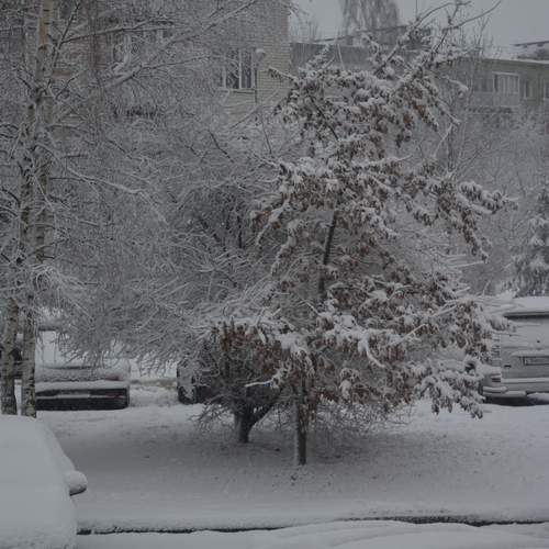 Photo #12927152