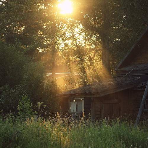 Photo #12927287