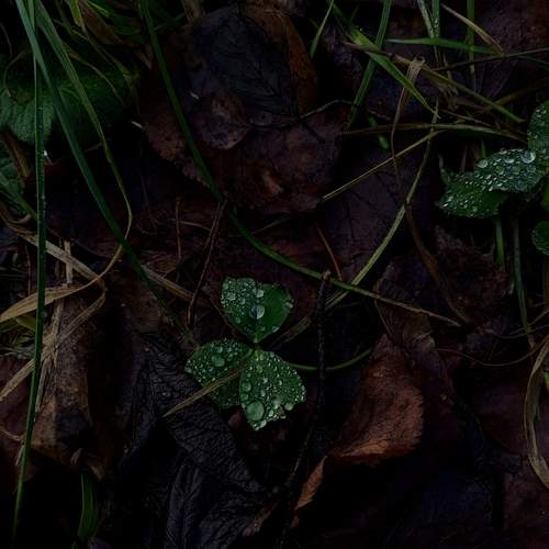 Photo #12927547