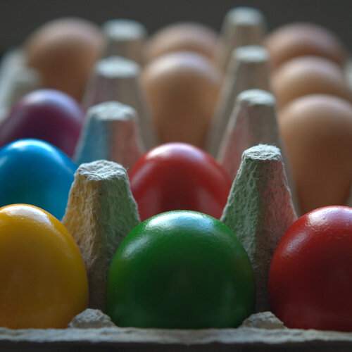 Photo #12927949