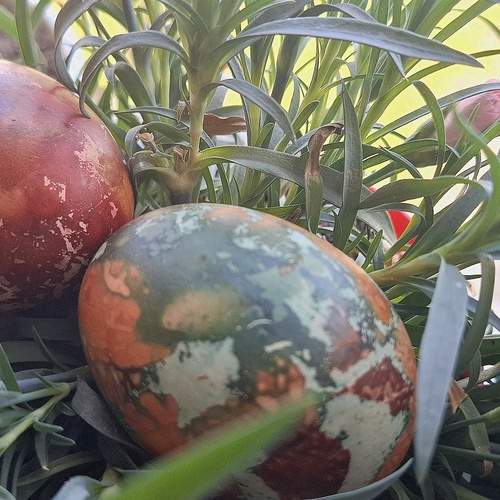 Photo #12927950