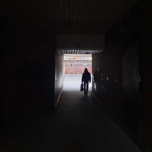 Photo #12928318