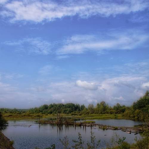 Photo #12928467