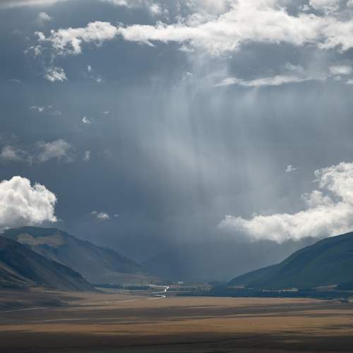 Photo #12928540