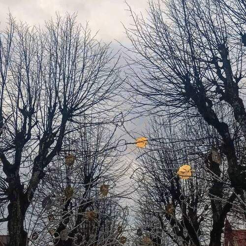 Photo #12928747