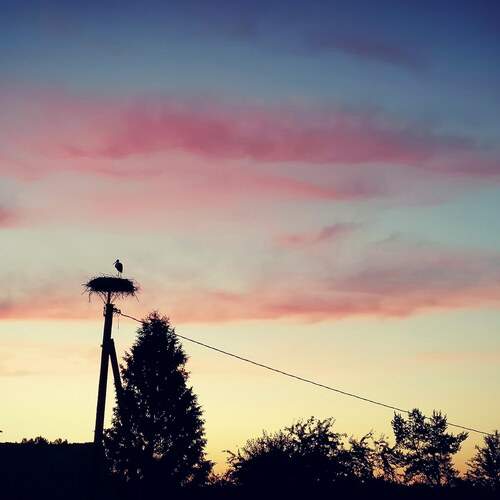 Photo #12929220