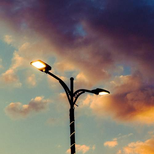 Photo #12929242
