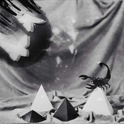 Photo #12929832