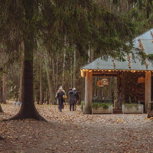 Photo #12929907