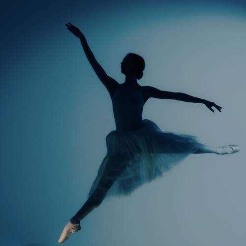 Photo #12931274