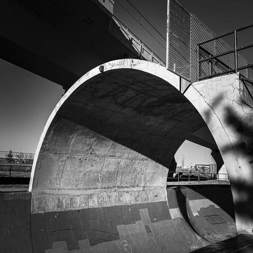 Фотография #12931377