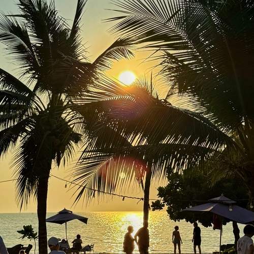 Photo #12931522