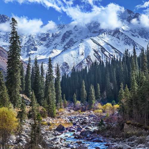 Photo #12931586
