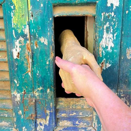 Photo #12931824