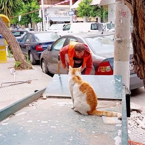 Photo #12931849