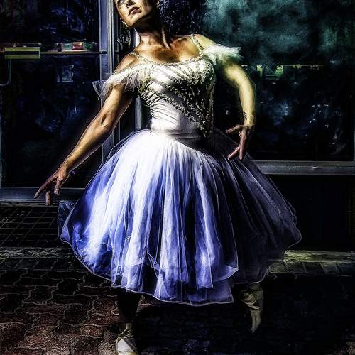 Photo #12932283