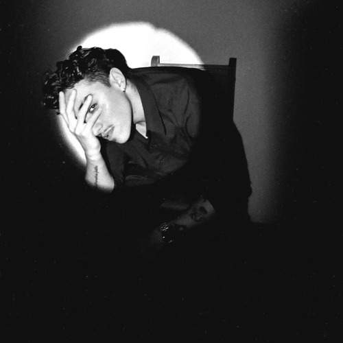 Photo #12932564