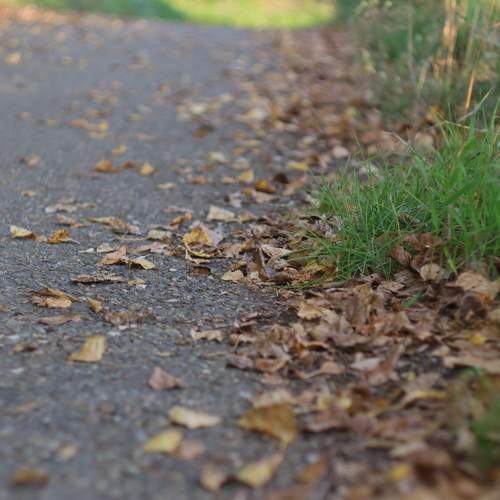 Photo #12932836