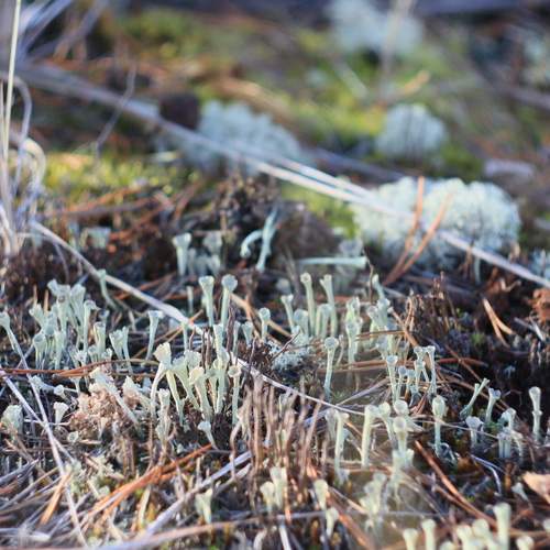 Photo #12932843