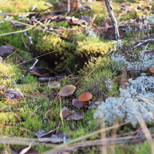 Photo #12932844
