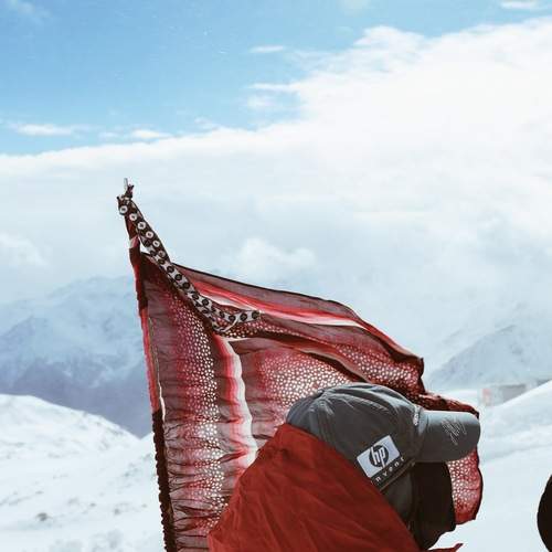 Photo #12932974