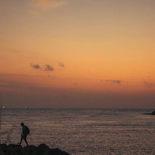 Photo #12933207