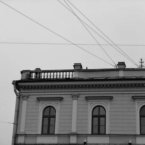 Photo #12933454