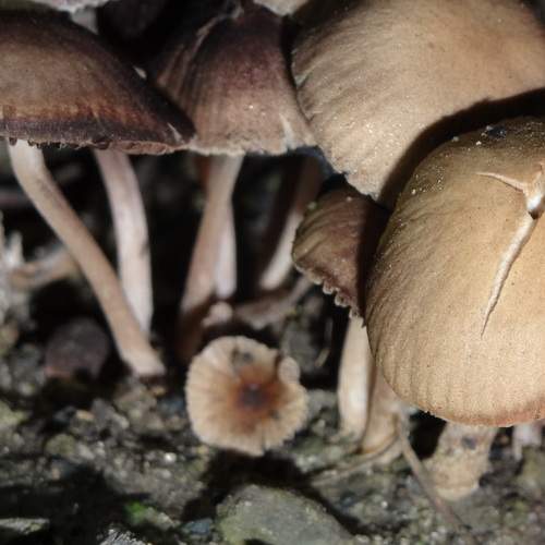 Photo #12933529