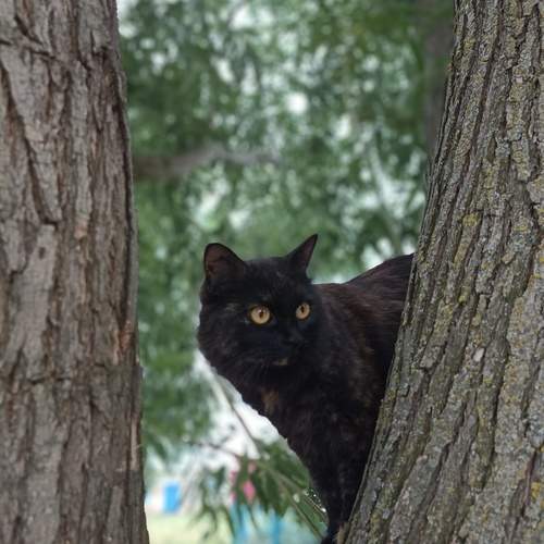 Photo #12933633