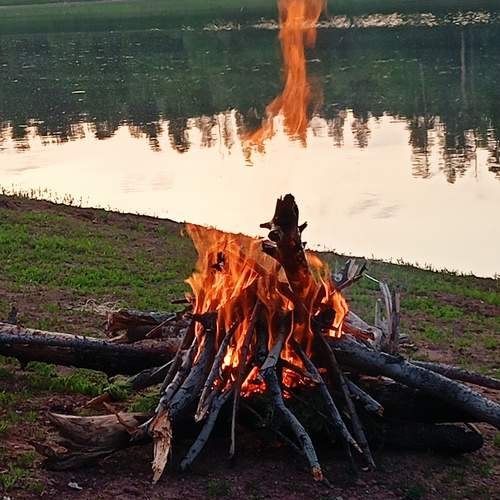 Photo #12933774
