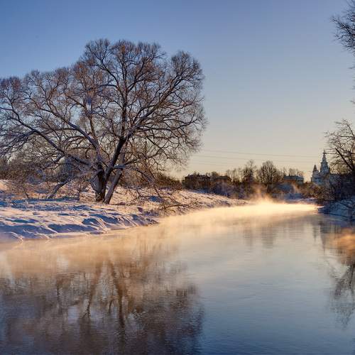 Photo #12933844
