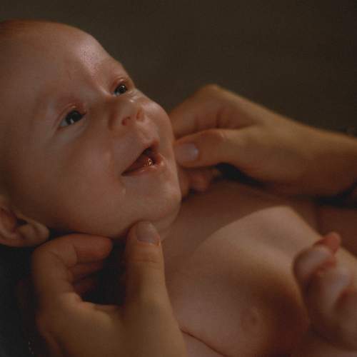 Photo #12934461