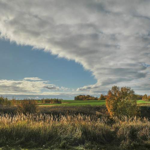 Photo #12935001