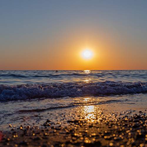 Photo #12935206