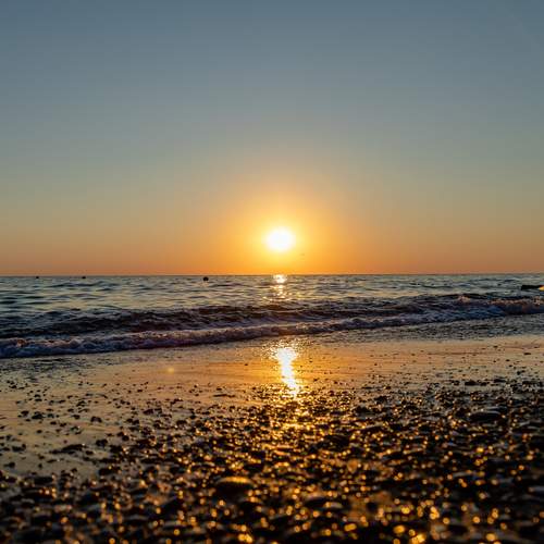 Photo #12935216