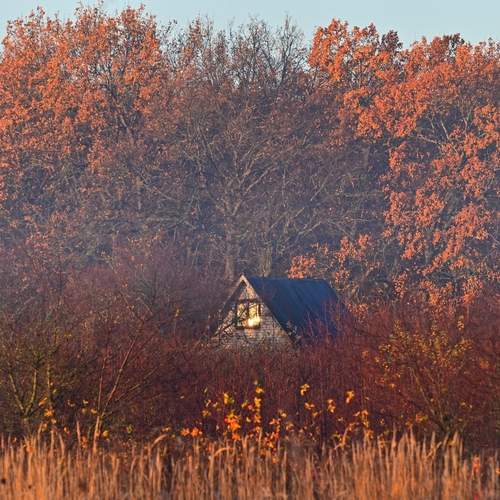 Photo #12935504