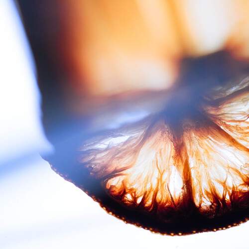Photo #12935534