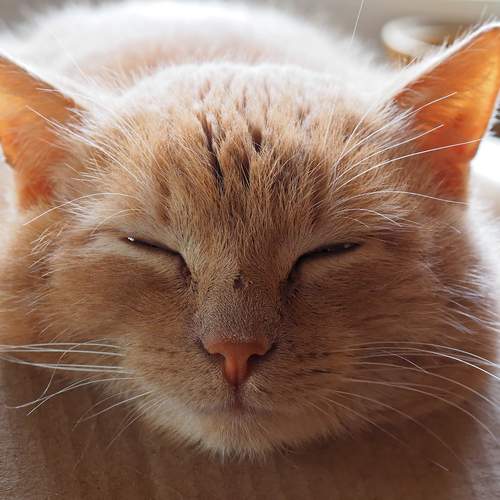 Photo #12935845