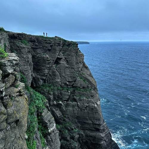 Photo #12935881