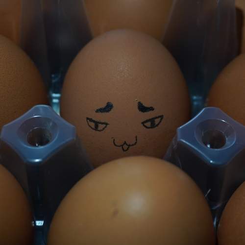 Photo #12935937