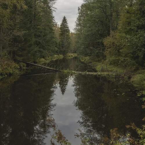 Photo #12935941