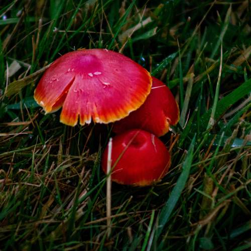 Photo #12936321