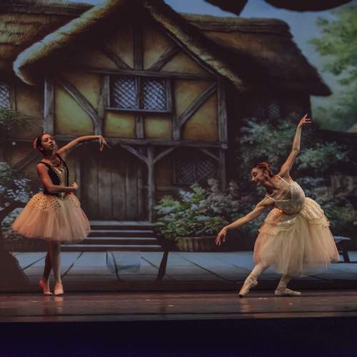 Photo #12936476