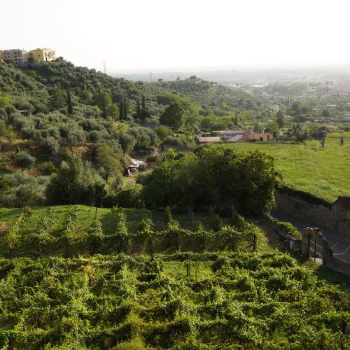 Photo #12936555