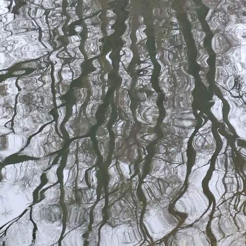 Photo #12936639