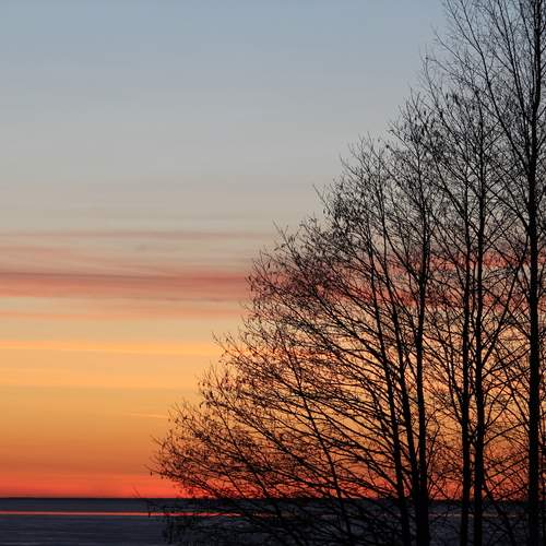 Photo #12937074