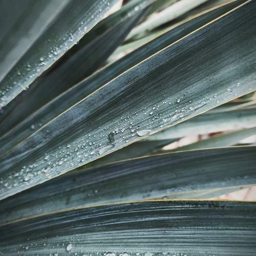 Photo #12937218