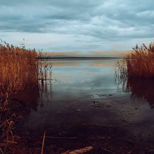 Photo #12937290